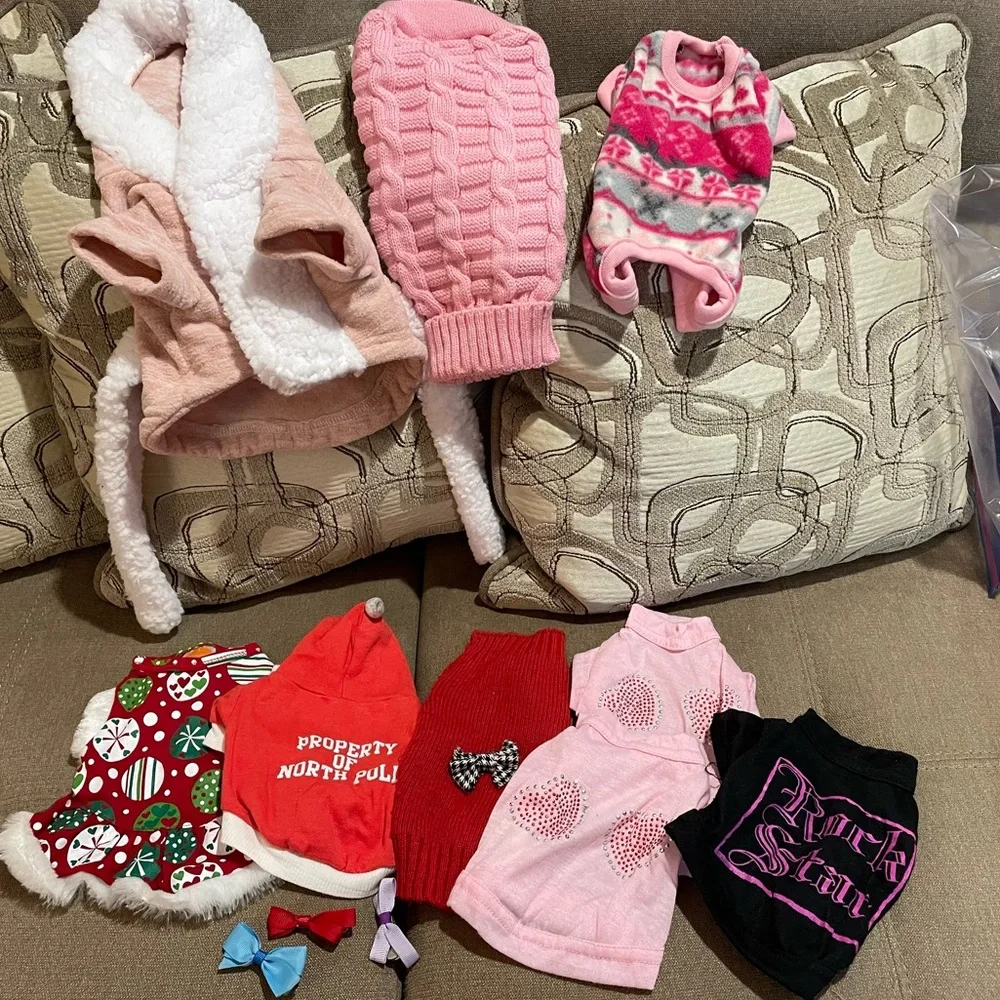 Bundle of small pet clothes